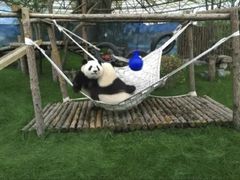 -鄂尔多斯野生动物园