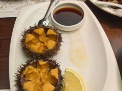 -小海丁