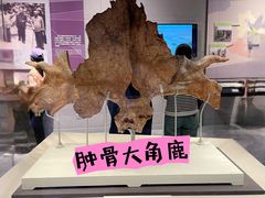 -北京周口店北京人遗址博物馆