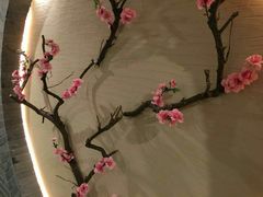 -迈格笙SPA·影院式足道·采耳(金桥店)