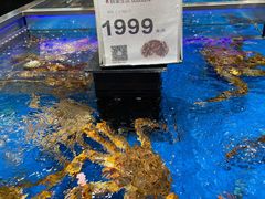 水产区-盒马鲜生(龙德广场店)