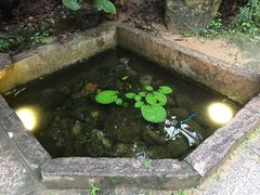 -宣和苑(华侨新村店)