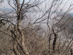 -棋盘山风景区