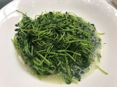 清炒豆苗-滕头生态酒店(奉化店)