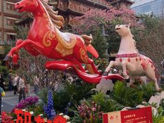 -越秀西湖花市(广州城市广场花卉店)