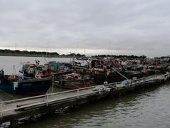 -大湾区中央湿地公园-十九涌