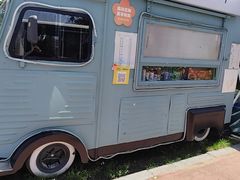 -荷兰花海