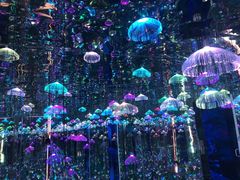 -深圳独角兽星空艺术馆