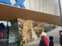 -墨尔本博物馆(Melbourne Museum)