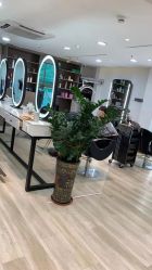 -新晨·SALON·形象造型