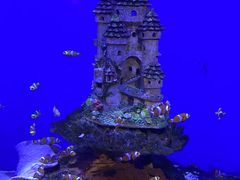 -海合安武汉极地海洋公园