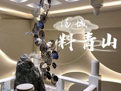 -汤城·料青山