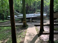 -东平国家森林公园