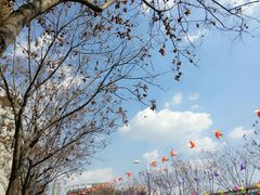 -西安外国语大学-学生食堂(栾树大道店)