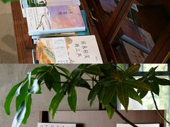 -四明山国家森林公园