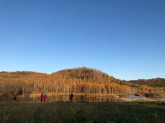 -五营红松林海景区