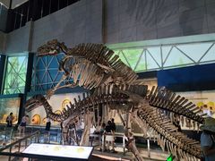 -湖南省地质博物馆