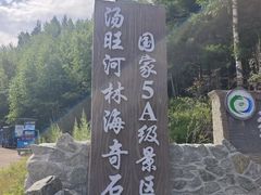 -汤旺河林海奇石景区