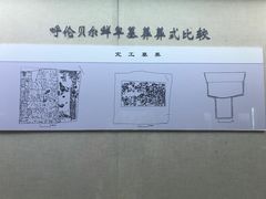 -呼伦贝尔民族博物馆