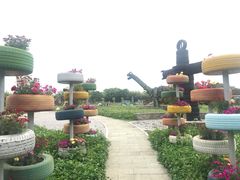 -中国扬子鳄村