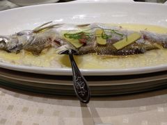 -顺风海鲜港(金玉兰店)