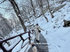 -终南山南五台景区