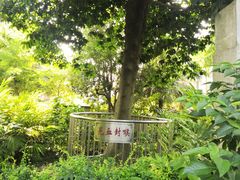 -广州神农草堂中医药博物馆