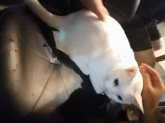 -Doors独立剧情密室(东门分店)