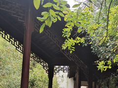 -八大山人梅湖景区