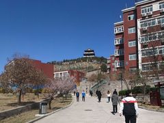 -山东大学(软件园校区)