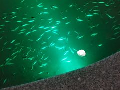 -宝丽金大酒店·洗浴中心