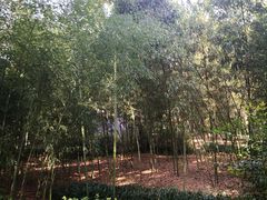 -兰亭风景区