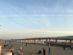 -演武大桥观景平台