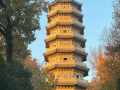 -灵谷景区