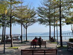 -深圳湾公园(南山区)
