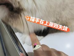 -怪兽屋·羊驼·猫咖·狗咖(俊华广场店)