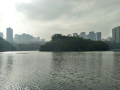 -重庆彩云湖湿地公园