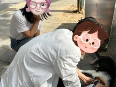 -中国农业大学动物医院