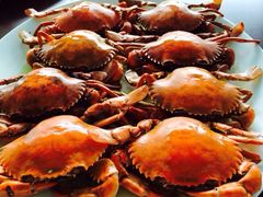 iphone_upload_pic-湿地轩