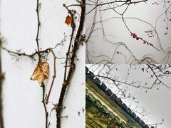 -广富林郊野公园