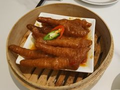 -丁老爷子苏香圆