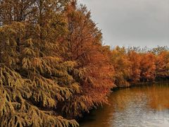 -上海海湾国家森林公园