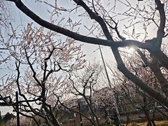 -金宫殿故址