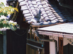 -难波八坂神社