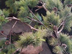 -路边边.炒菜烧烤.音乐餐厅(良乡长虹店)