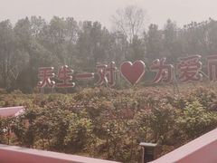 -天生桥景区