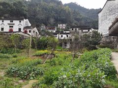 -新安江山水画廊风景区