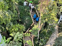-郑州植物园