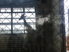 -太原动物园
