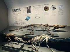 -自贡恐龙博物馆